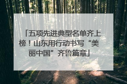 五项先进典型名单齐上榜！山东用行动书写“美丽中国”齐鲁篇章