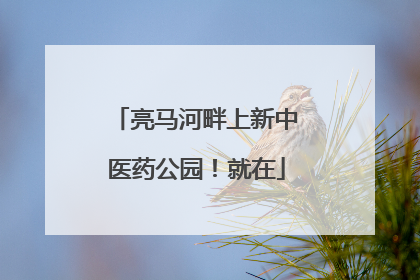 亮马河畔上新中医药公园！就在