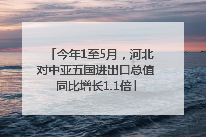 今年1至5月，河北对中亚五国进出口总值同比增长1.1倍