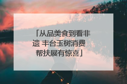 从品美食到看非遗 丰台玉树消费帮扶展有惊喜