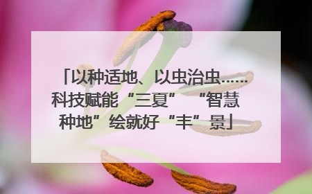 以种适地、以虫治虫……科技赋能“三夏” “智慧种地”绘就好“丰”景