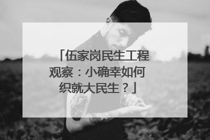 伍家岗民生工程观察：小确幸如何织就大民生？