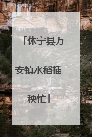 休宁县万安镇水稻插秧忙
