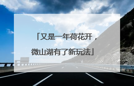 又是一年荷花开，微山湖有了新玩法