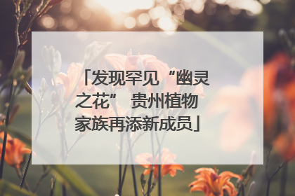 发现罕见“幽灵之花” 贵州植物家族再添新成员