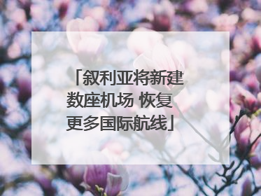叙利亚将新建数座机场 恢复更多国际航线