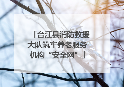 台江县消防救援大队筑牢养老服务机构“安全网”