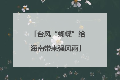 台风“蝴蝶”给海南带来强风雨
