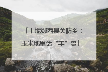 十堰郧西县关防乡：玉米地里话“丰”景
