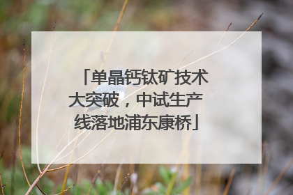 单晶钙钛矿技术大突破，中试生产线落地浦东康桥