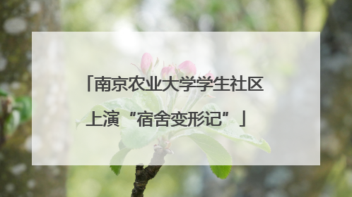 南京农业大学学生社区上演“宿舍变形记”