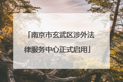 南京市玄武区涉外法律服务中心正式启用