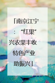 南京江宁：“红果”兴农果丰收 特色产业助振兴