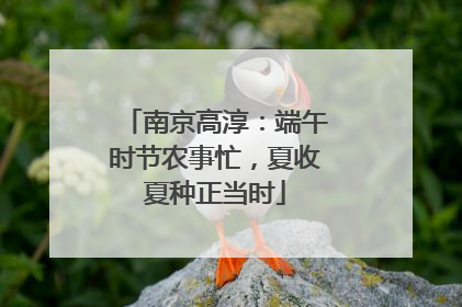 南京高淳：端午时节农事忙，夏收夏种正当时