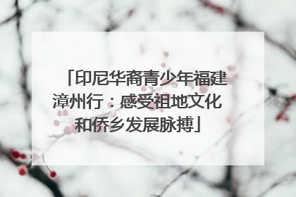 印尼华裔青少年福建漳州行：感受祖地文化和侨乡发展脉搏
