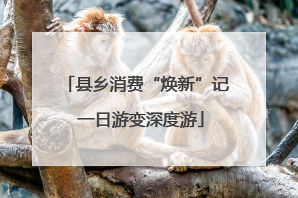 县乡消费“焕新”记 一日游变深度游
