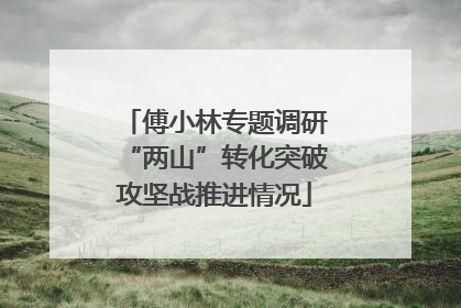 傅小林专题调研“两山”转化突破攻坚战推进情况