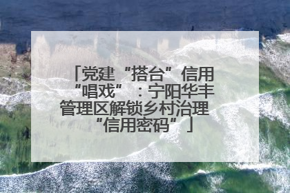 党建“搭台”信用“唱戏”：宁阳华丰管理区解锁乡村治理“信用密码”