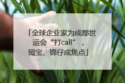 全球企业家为成都世运会“打call”，蜀宝、锦仔成焦点