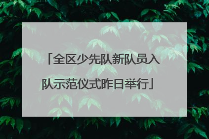 全区少先队新队员入队示范仪式昨日举行