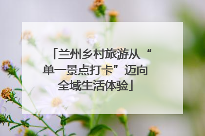 兰州乡村旅游从“单一景点打卡”迈向全域生活体验