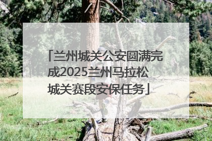 兰州城关公安圆满完成2025兰州马拉松城关赛段安保任务