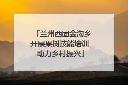 兰州西固金沟乡开展果树技能培训 助力乡村振兴