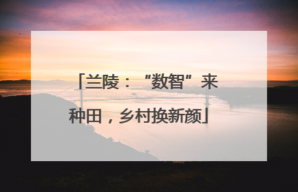 兰陵：“数智”来种田，乡村换新颜