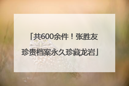 共600余件！张胜友珍贵档案永久珍藏龙岩