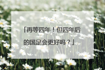 再等四年！但四年后的国足会更好吗？