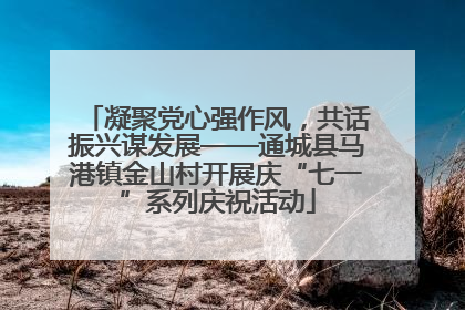 凝聚党心强作风，共话振兴谋发展——通城县马港镇金山村开展庆“七一”系列庆祝活动
