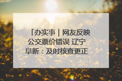 办实事｜网友反映公交票价错误 辽宁阜新：及时核查更正 加强实时巡检