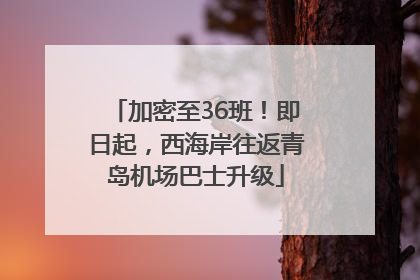 加密至36班！即日起，西海岸往返青岛机场巴士升级