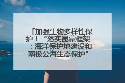加强生物多样性保护！“落实昆蒙框架：海洋保护地建设和南极公海生态保护”主题论坛将举办