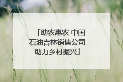 助农惠农 中国石油吉林销售公司助力乡村振兴