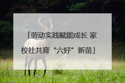 劳动实践赋能成长 家校社共育“六好”新苗