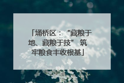 埇桥区：“藏粮于地、藏粮于技” 筑牢粮食丰收根基