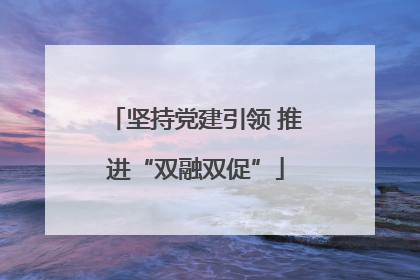 坚持党建引领 推进“双融双促”