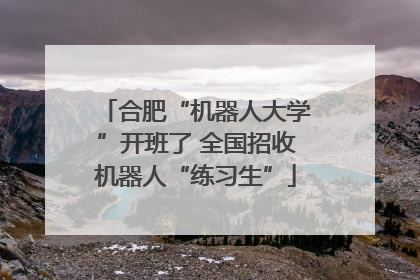 合肥“机器人大学”开班了 全国招收机器人“练习生”