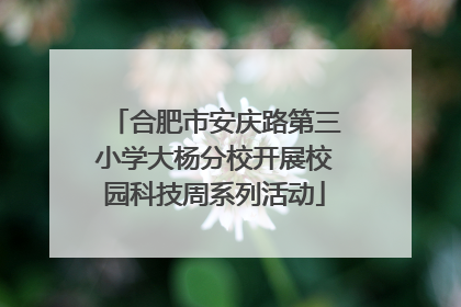 合肥市安庆路第三小学大杨分校开展校园科技周系列活动