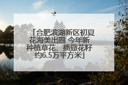 合肥滨湖新区初夏花海美出圈 今年新种植草花、播撒花籽约6.5万平方米