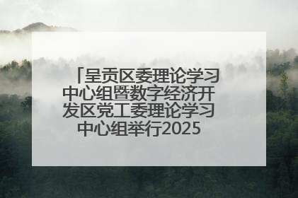 呈贡区委理论学习中心组暨数字经济开发区党工委理论学习中心组举行2025年第七次学习会议