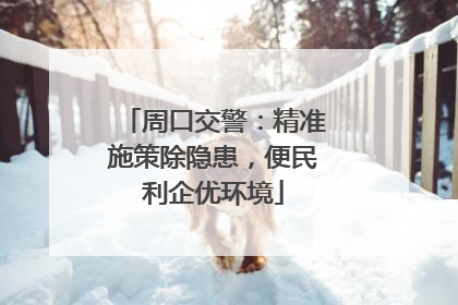周口交警：精准施策除隐患，便民利企优环境