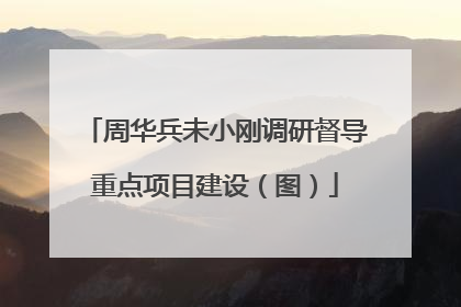 周华兵未小刚调研督导重点项目建设（图）
