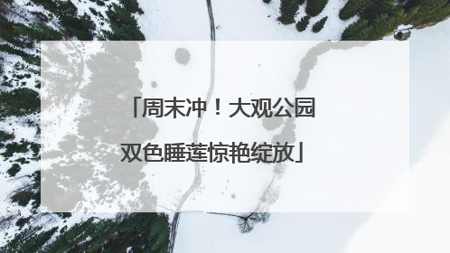 周末冲！大观公园双色睡莲惊艳绽放