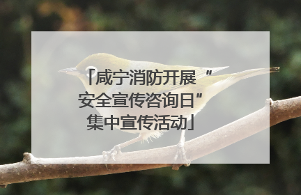咸宁消防开展“安全宣传咨询日”集中宣传活动