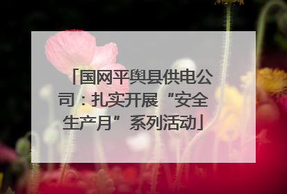 国网平舆县供电公司：扎实开展“安全生产月”系列活动