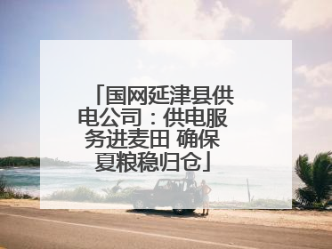 国网延津县供电公司：供电服务进麦田 确保夏粮稳归仓