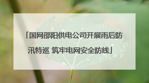 国网邵阳供电公司开展雨后防汛特巡 筑牢电网安全防线