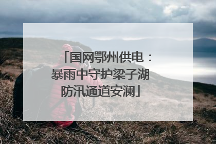 国网鄂州供电：暴雨中守护梁子湖防汛通道安澜